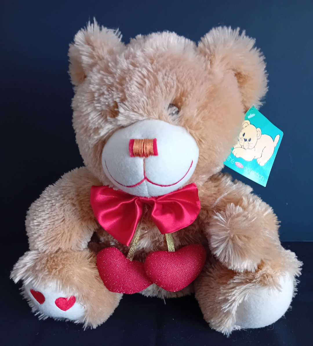Cute & Cuddly Teddy