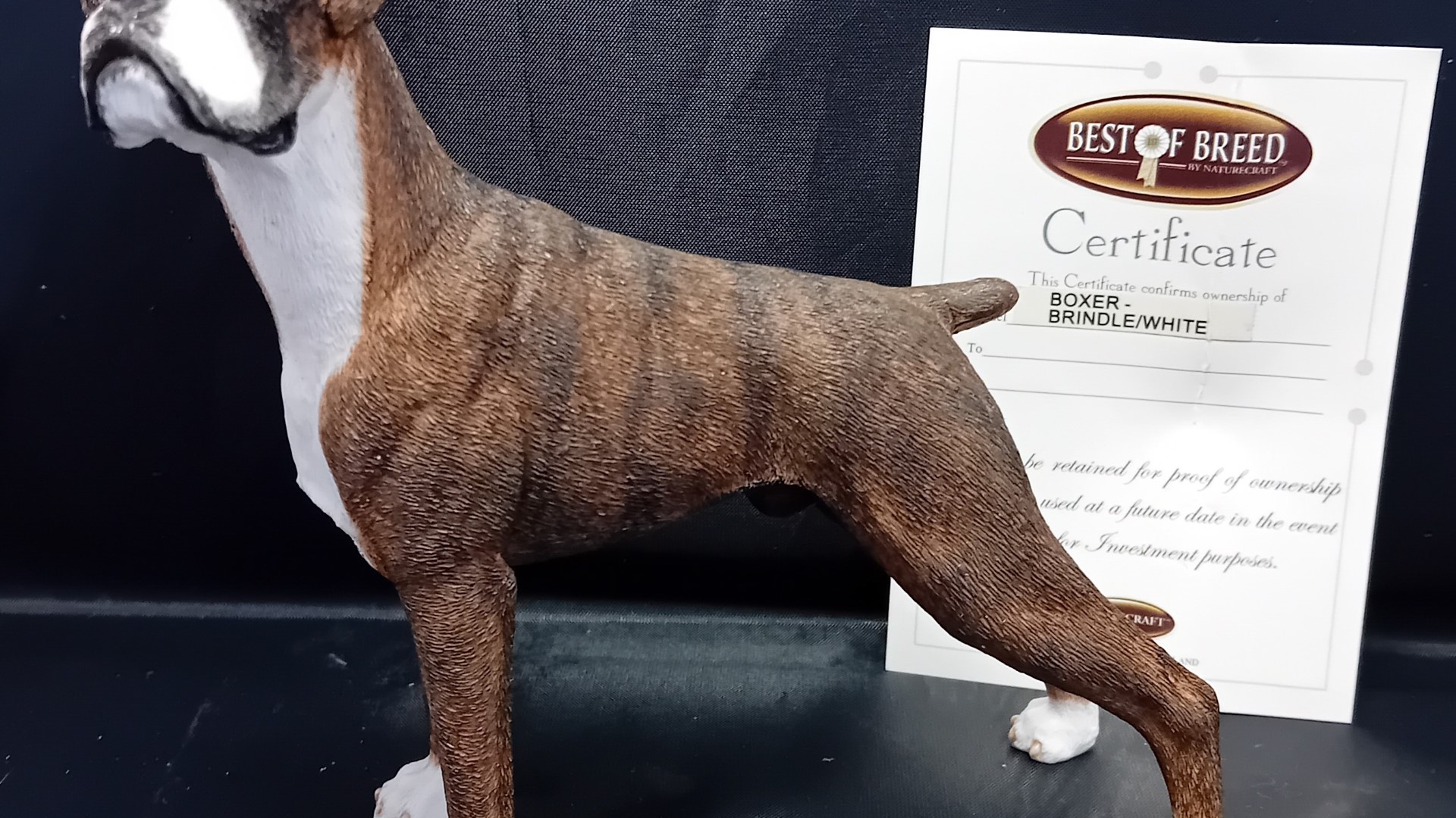Best of Breed Boxer Sculpture