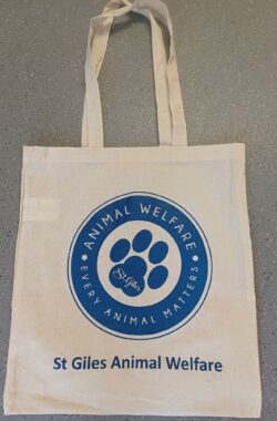 Canvas Tote Bag - Blue
