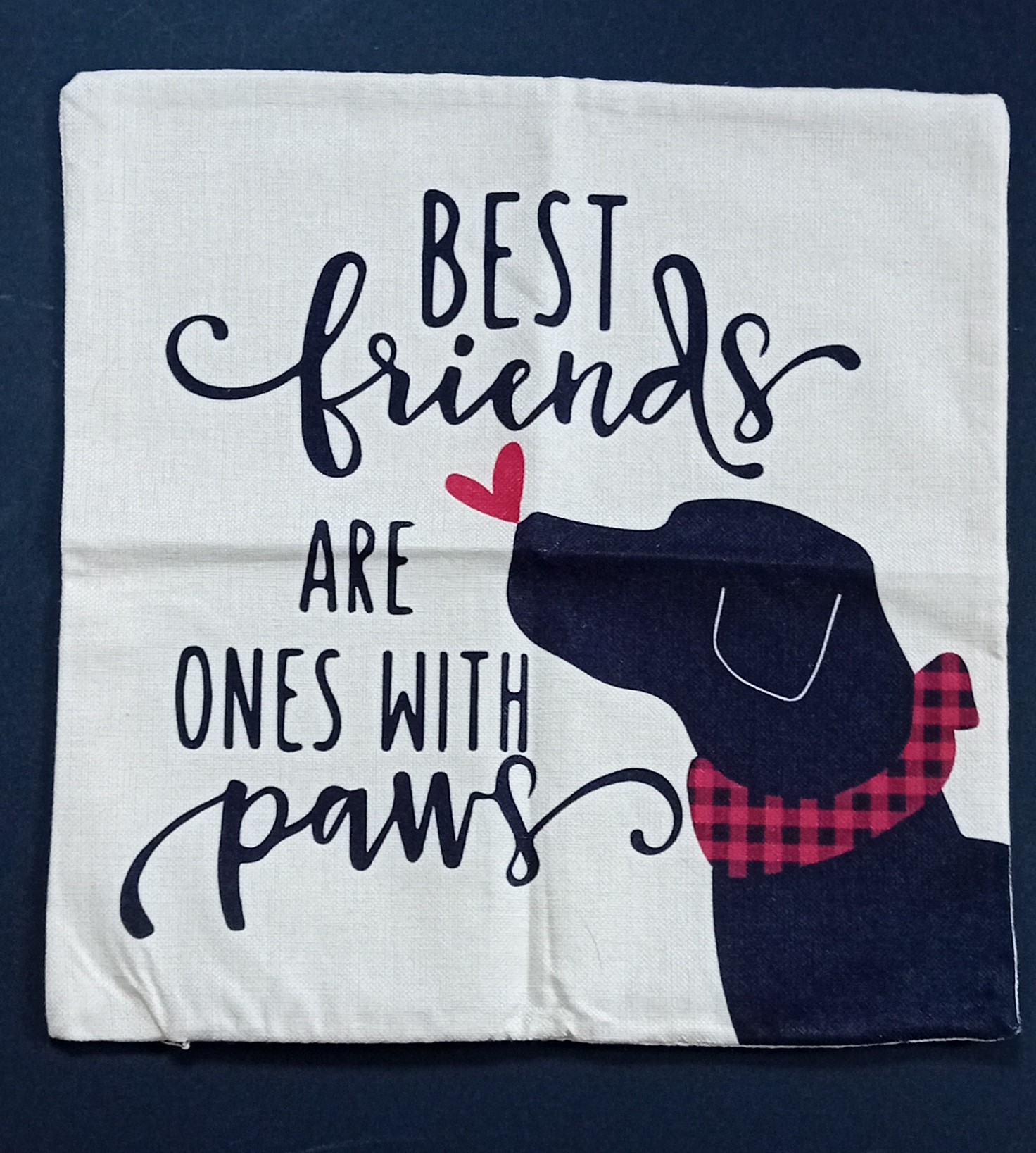 Best Friends Cushion Cover