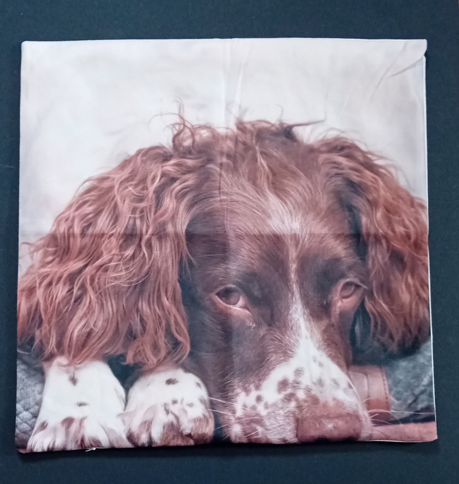 Spaniel Cushion Cover