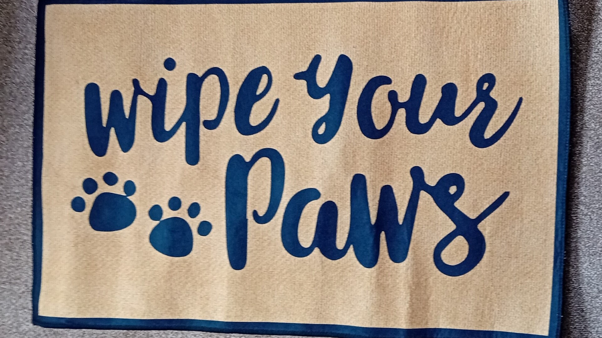 Wipe Your Paws Door Mat