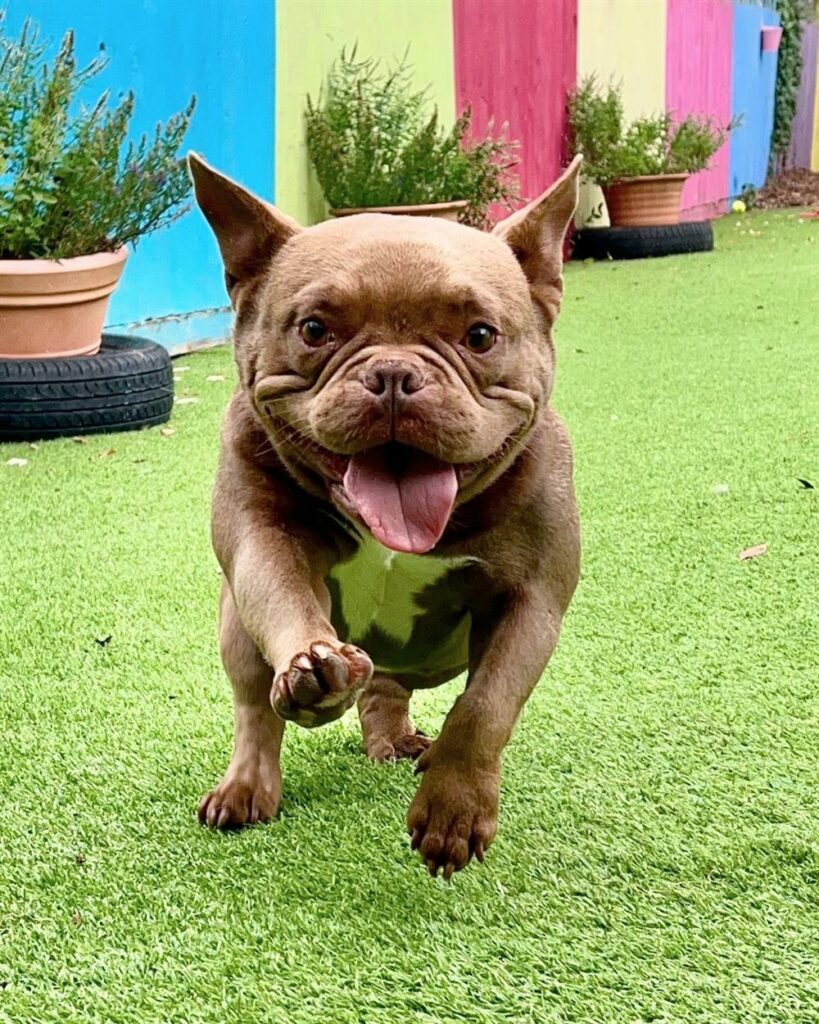 1-hour Secure field rental